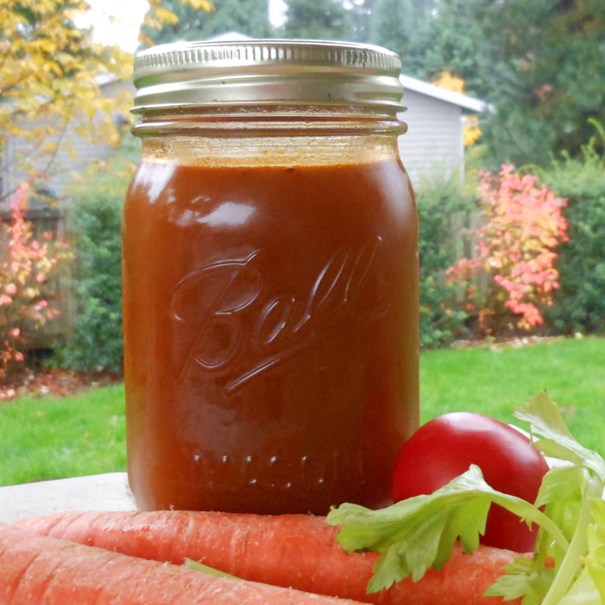 Thick vegetable stock in a quart-size Mason jar. Raw carrots and a tomato at the foot of the jar. 
