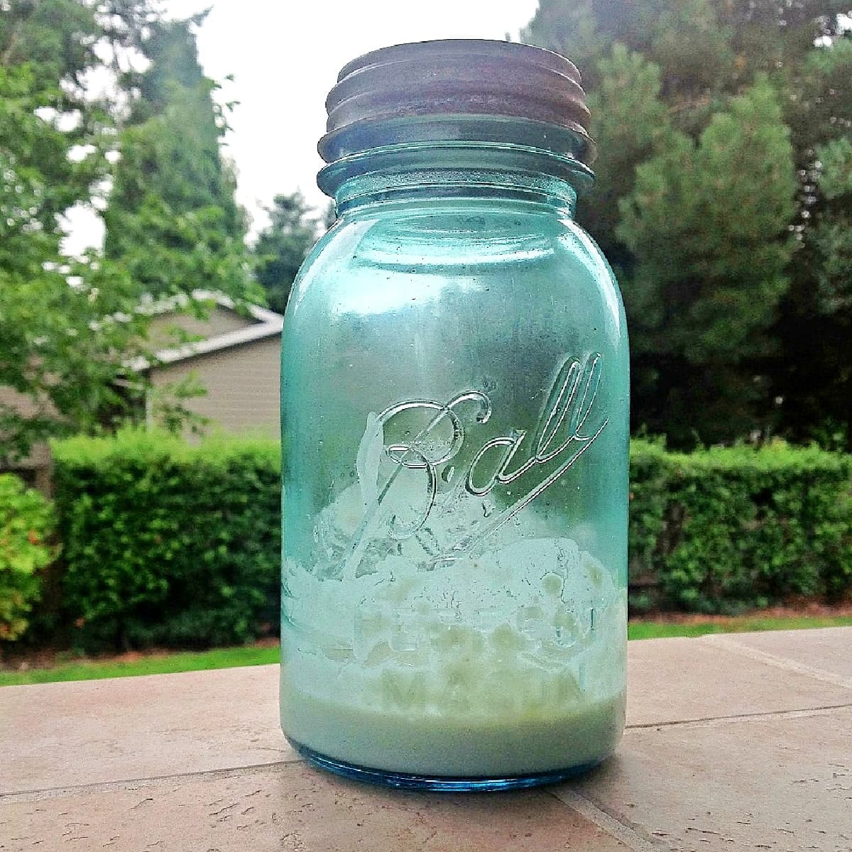 Old-sea-green Mason jar with a small amount of sourdough at the bottom.