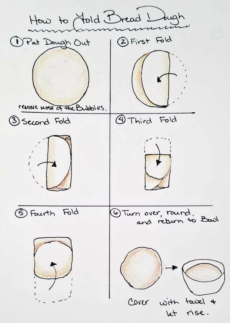 6-panel iIllustration of how to fold bread dough. 