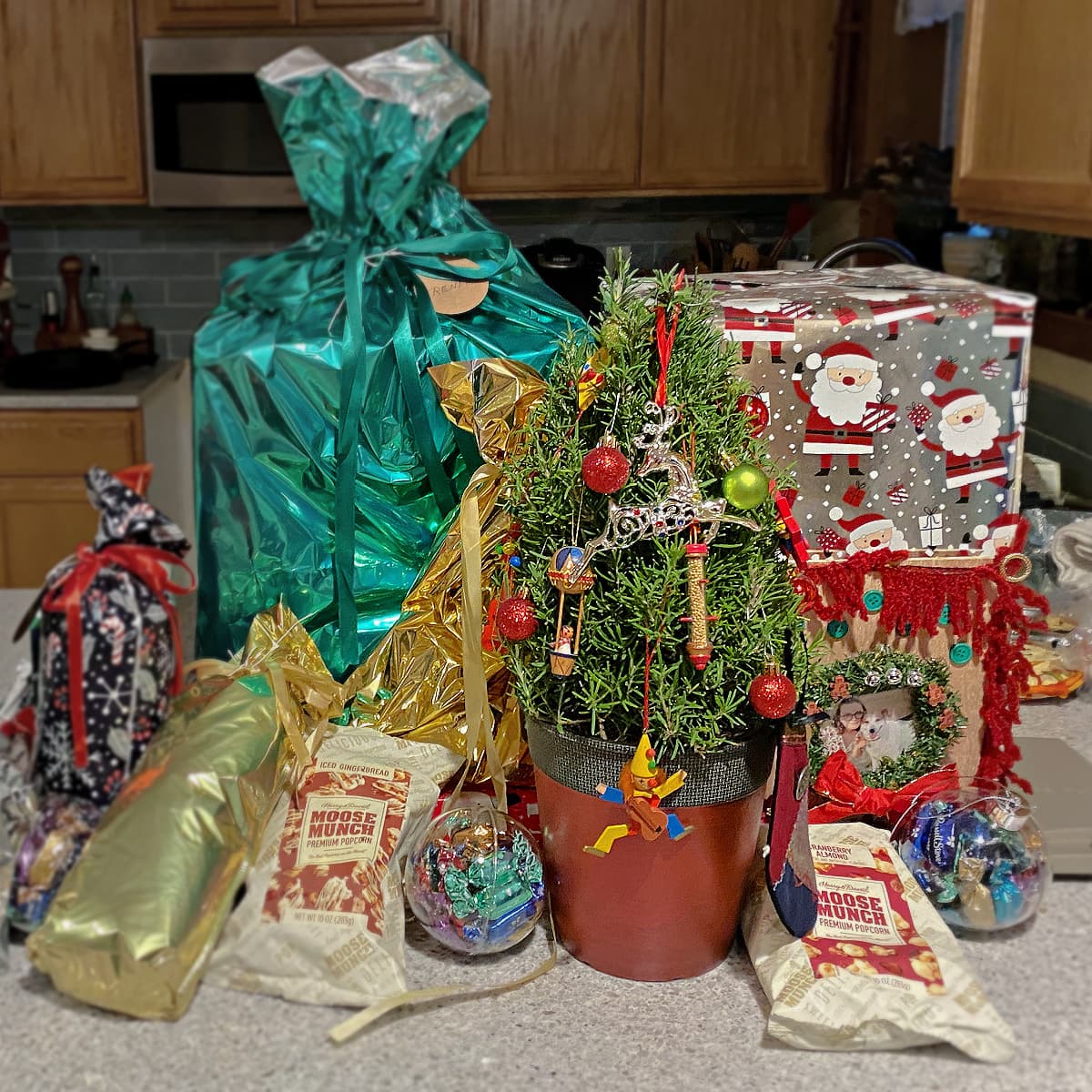 Small rosemary plant in pot, trimmed in the shape of a Christmas tree. Decorations hang from it, and it is surrounded by a few wrapped presents. 