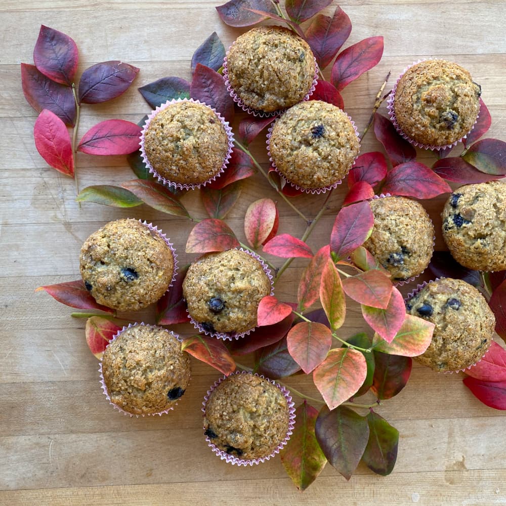 muffins on counter amid fall blueberry leaves