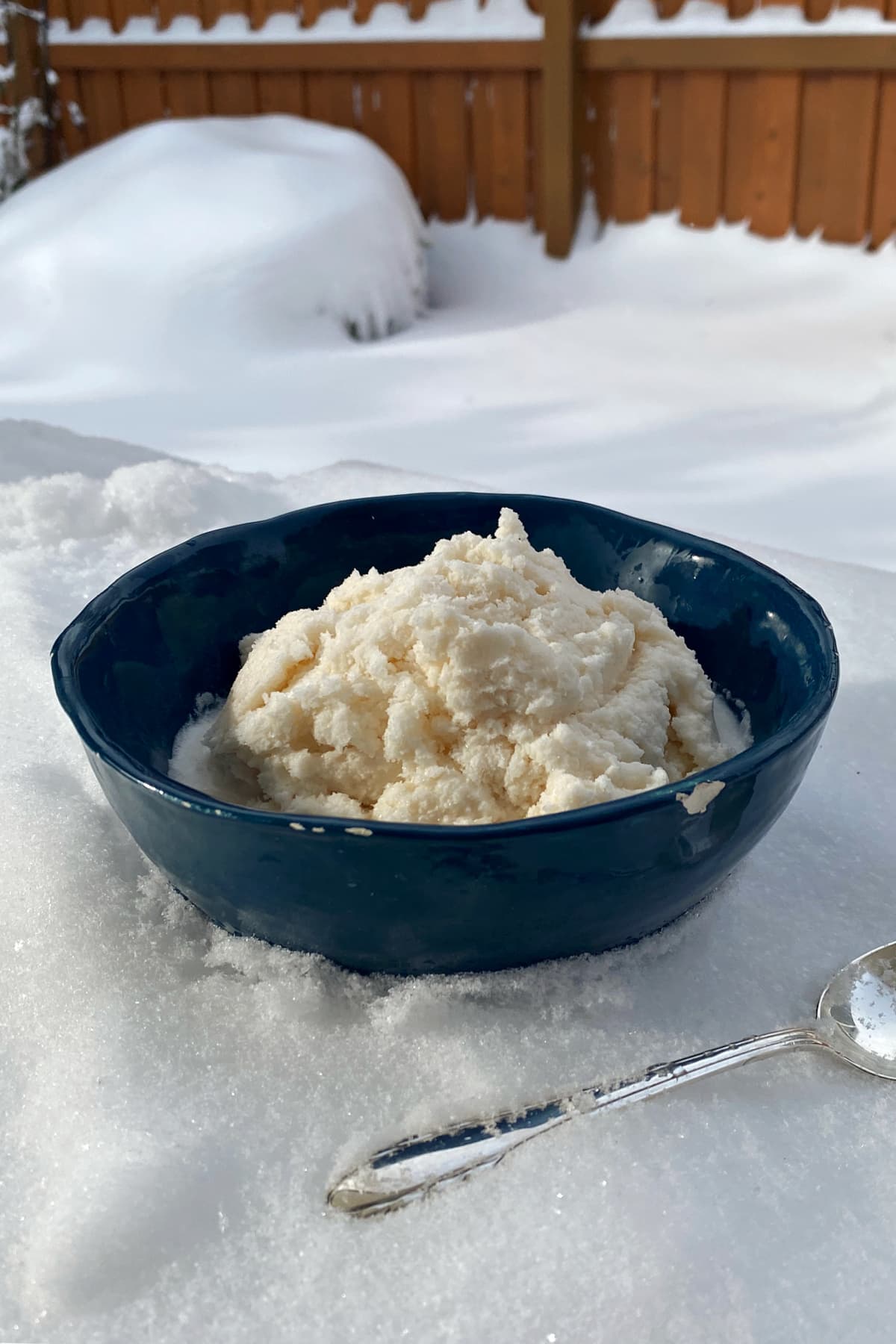 Vertical image of snow ice cream in a bowl, resting in a bed of fresh snow.