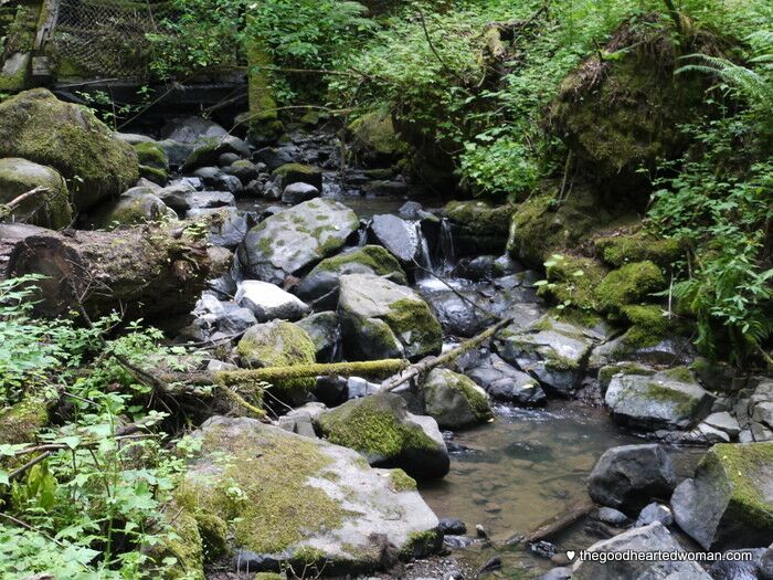 Rocks along a stream bed. 