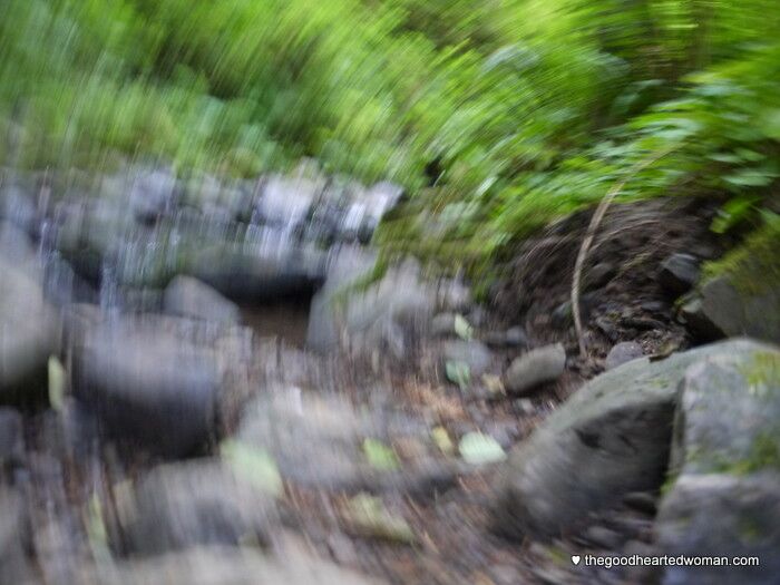 Weird whirling camera shot along Forest Park stream, near Witch's Castle.