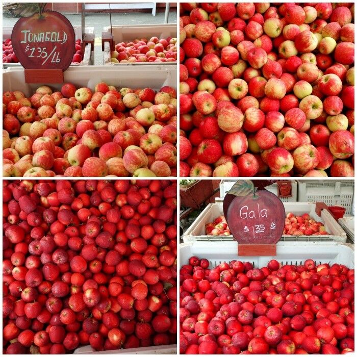 4-panel collage of ripe, red apples for sale in large boxes. 