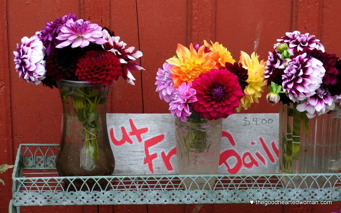 Cut flowers outside the farm store. 