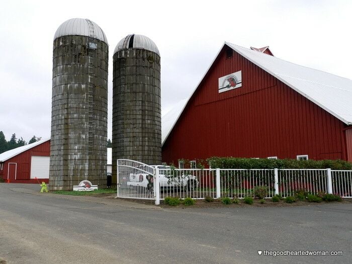 Barn and two silos, Oregon Heritage Farms 