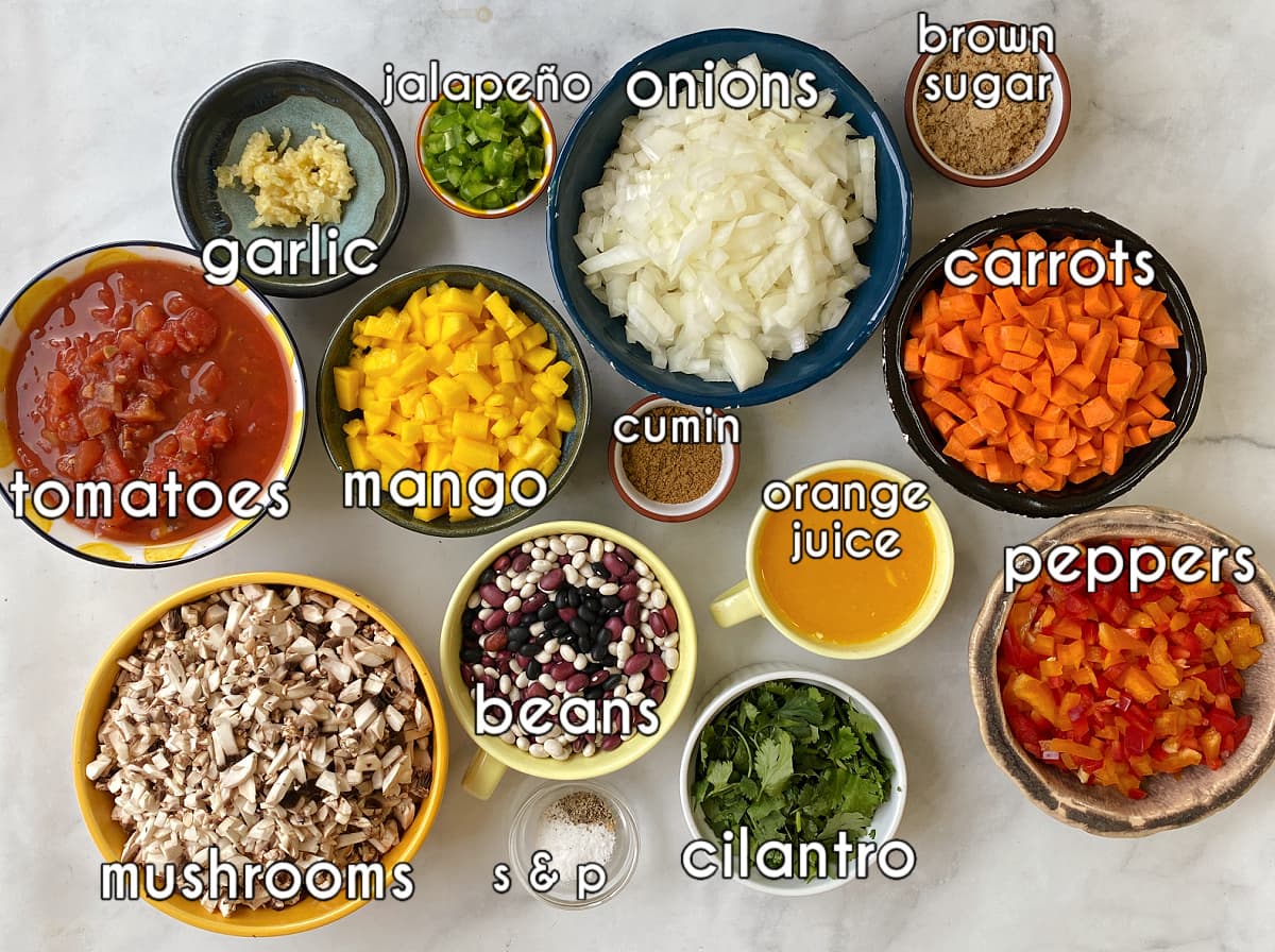 Mango chili ingredients, labeled: mushrooms, onions, garlic, carrots, jalapeno, orange juice, salt & pepper, cilantro, beans, tomatoes.