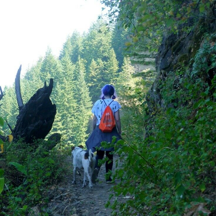 Girl with purple hair walking in the forest with mid-sized white spotted dog. 