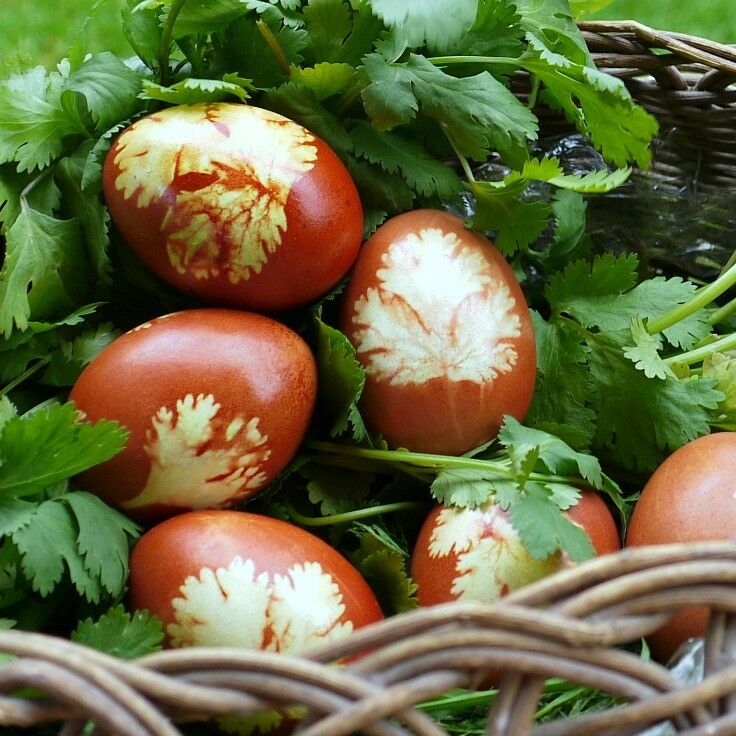 Naturally-Dyed Armenian Easter Eggs | The Good Hearted Woman