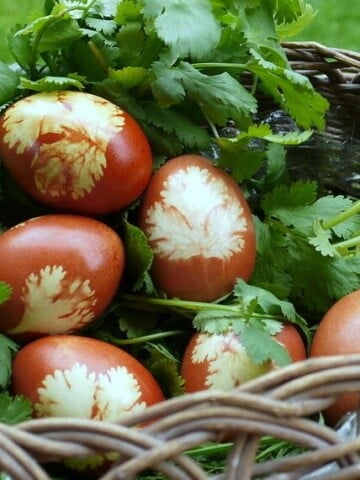 Naturally dyed Armenian (or Russian, Greek, Serbian) Easter Eggs | The Good Hearted Woman