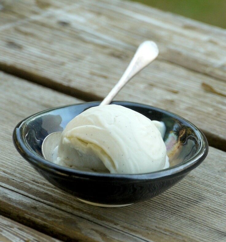 Scoop of vanilla bean ice cream in a small bowl. 