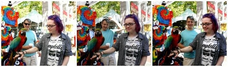 3-panel collage of teenage girl holding a large parrot