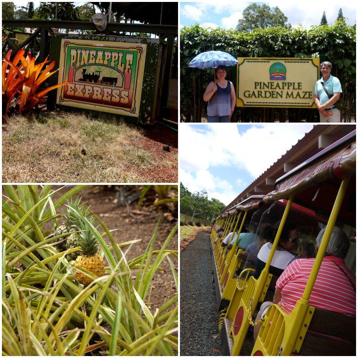 Collage: Signs around Dole Plantation: Pineapple Maze, growing pineapple, side view of train.