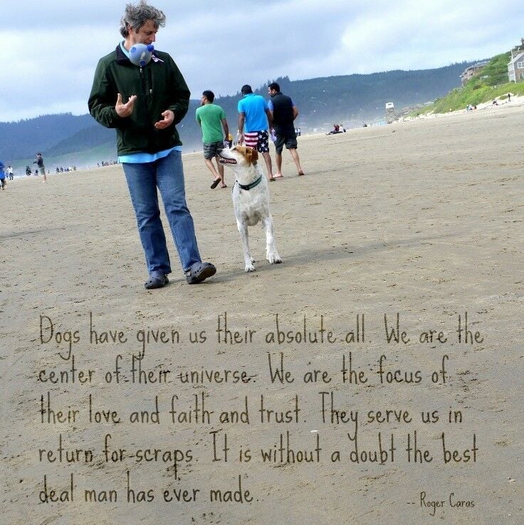 Man with ball and dog watching ball as they walk down the beach together. 