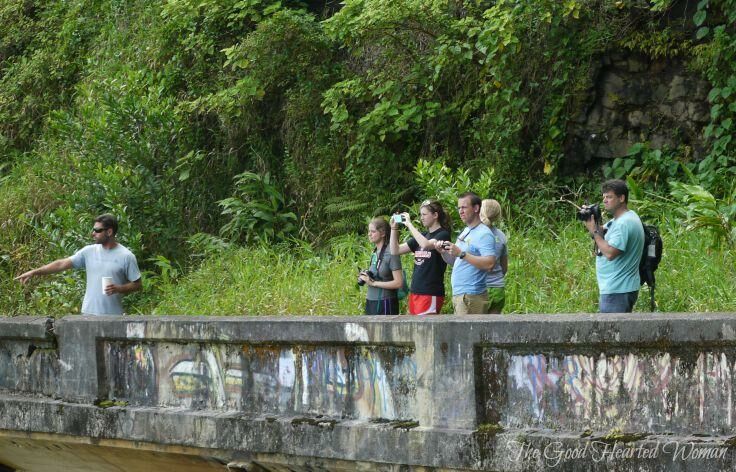 Group of people taking pictures over the side of a short, graffitied cement highway wall. 