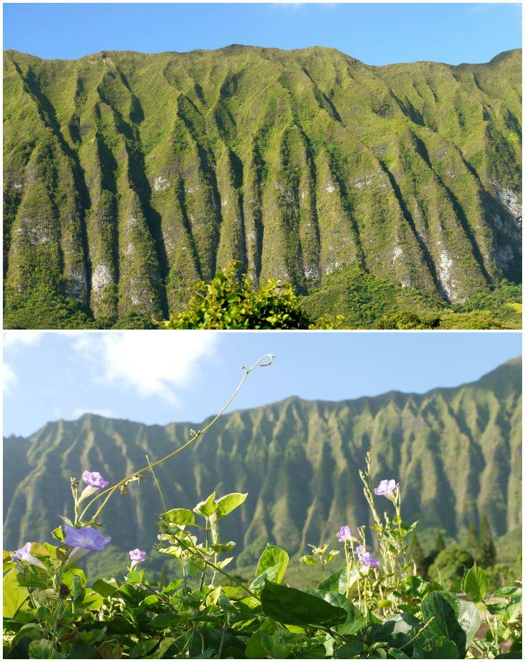 Collage: Mountains near and far. 