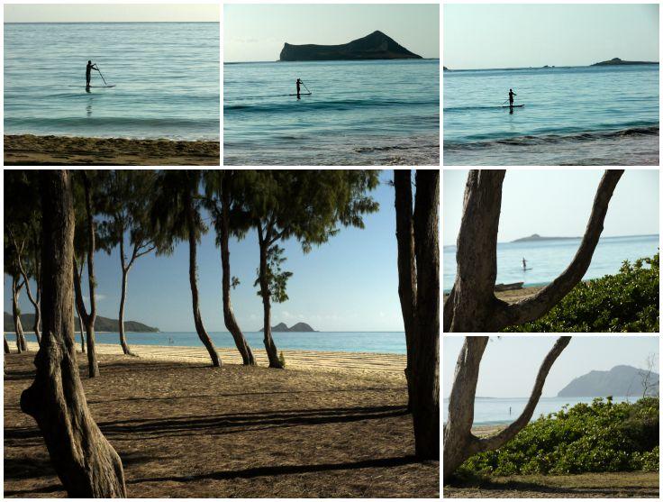 Collage: various views of paddleboarded paddling by, from a viewpoint on the beach. 