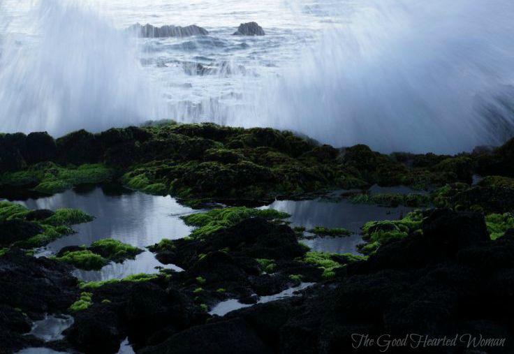 Still tide pools with green seaweed in foreground; large splashing waves beyond. 