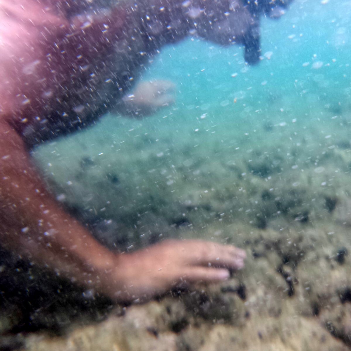 Man wearing snorkel, exploring the ocean floor. 