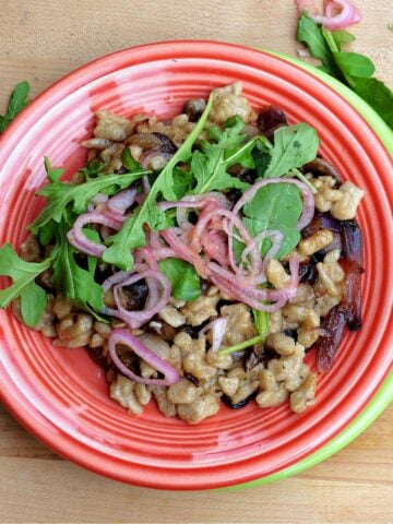 Overhead shot of Sourdough Spaetzle plated with caramelized cipollini, sauteed mushrooms, and tabasco shallots.