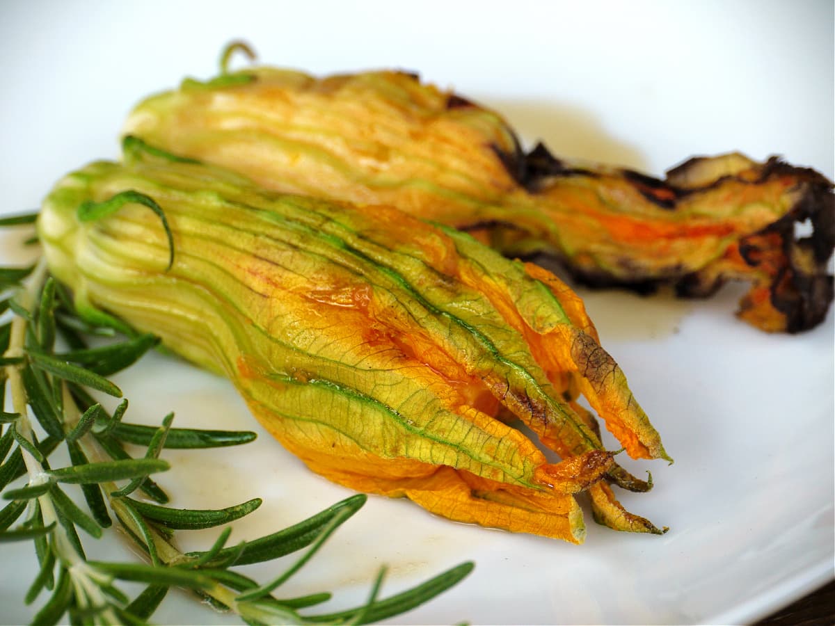 Grilled stuffed squash blossoms on a plate. Fresh rosemary garnish.