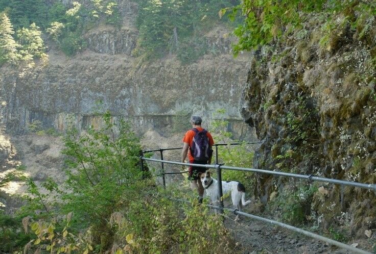 Rick & Patches on the hike to Elowah Falls & Upper McCord Creak.