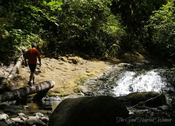 Upper McCord Creek