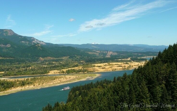 Sternwheeler on the Columbia from the Elowah trail. 