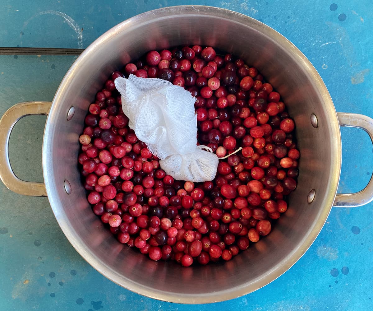 Fresh cranberries in a stockpot. Spice bage rests on top.
