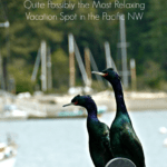 Why Orcas Island May Be the Most Relaxing Vacation Spot in the Pacific NW | The Good Hearted Woman