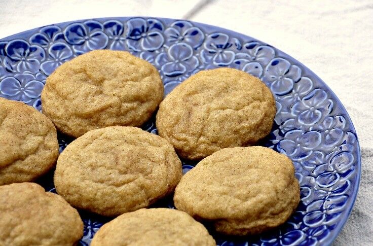 Snickerdoodles Recipe | The Good Hearted Woman