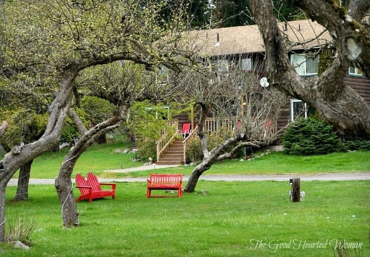 Exterior central area for guests; two red double Adirondack chairs sitting on a green lawn, surrounded by large trees. 