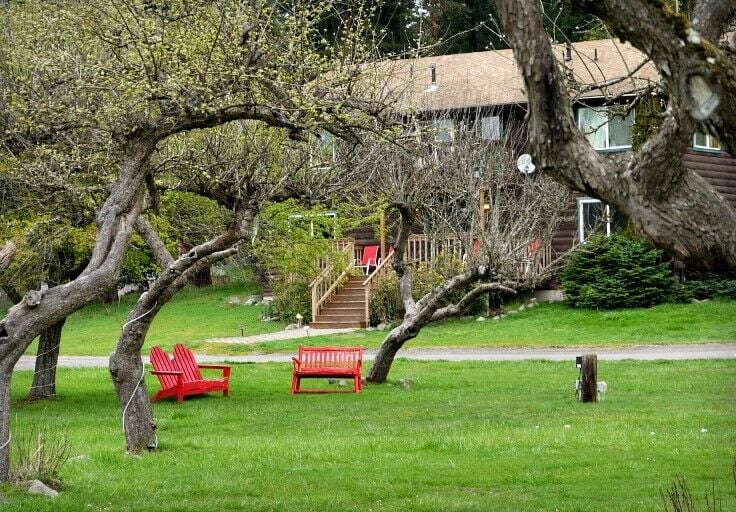 Exterior central area for guests; two red double adirondak chairs sitting on a green lawn, surrounded by large trees. 