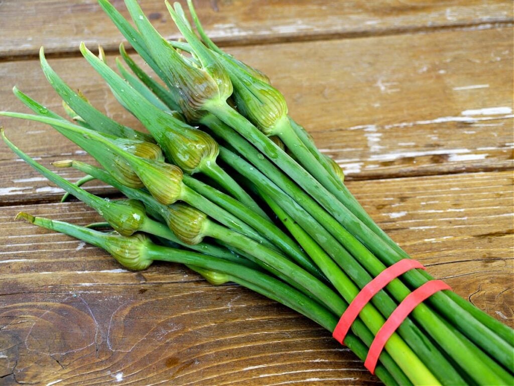 OvenRoasted Garlic Spears (Garlic Scapes) • The Good Hearted Woman