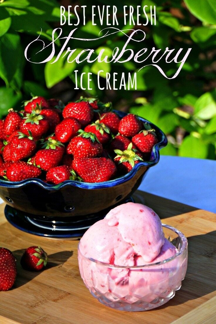 Featured image of post How to Make Homemade Strawberry Ice Cream Recipe With Eggs