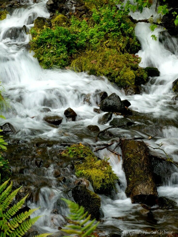 Wahkeena Falls is one of the most popular destinations in the Columbia River Gorge.