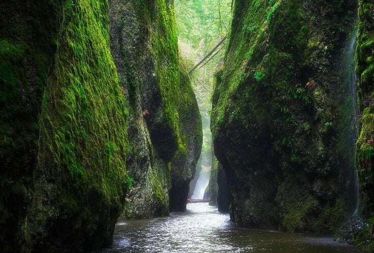 Foggy light coming through a moss covered fissure that seems to go on. Image Credit: Paul Weeks via Flickr (CC 2.0)