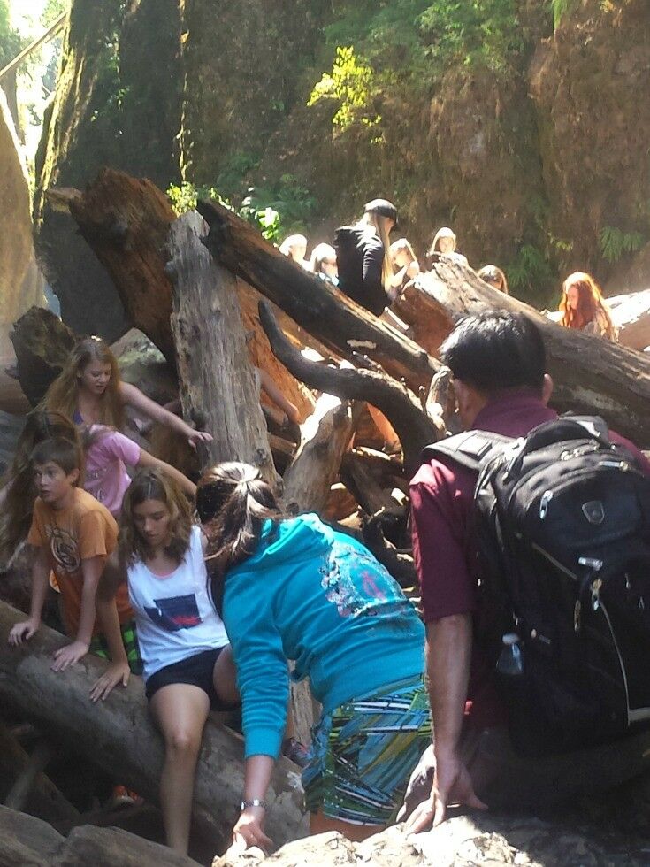 Large log and rock wall with many. people climbing on it. 