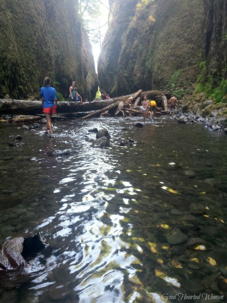 Children playing in a sunlit stream. 