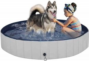 Foldable Pet Swimming Pool with a large dog in it. 