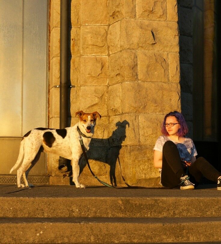 Young teenage girl with dog on leash, sitting on a stone staircase. 