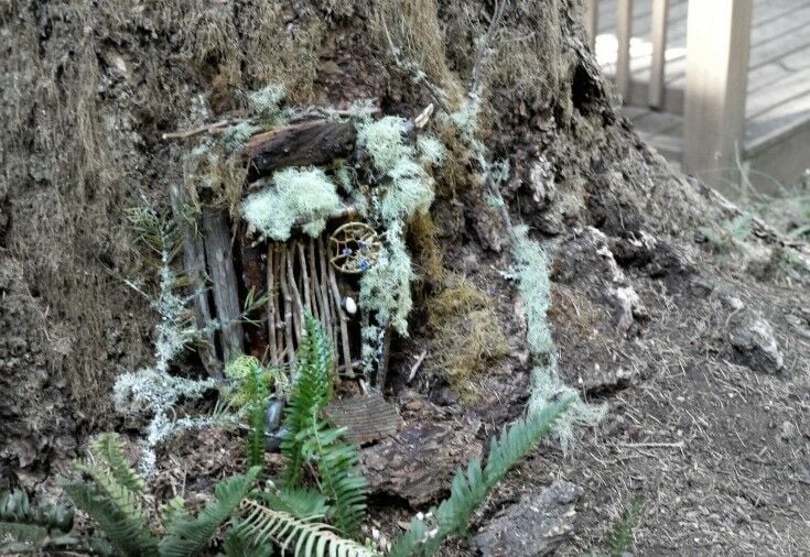 Signs of Fairies at Camp Namanu