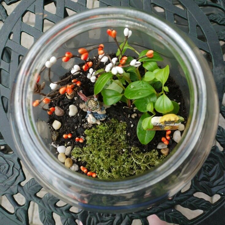 Changing Seasons Fairy Garden Terrarium | The Good Hearted Woman