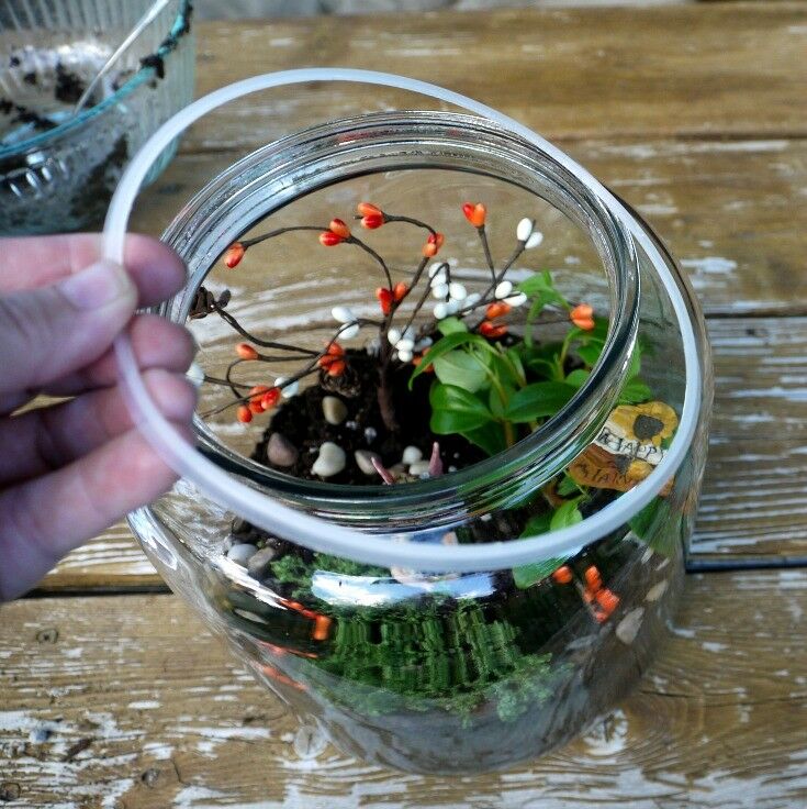 Changing Seasons Fairy Garden Terrarium | The Good Hearted Woman