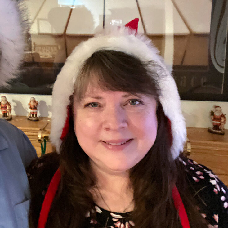 Me in a Mrs Santa Hat