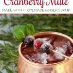Spiced Cranberry Mule made with Homemade Ginger Syrup | The Good Hearted Woman