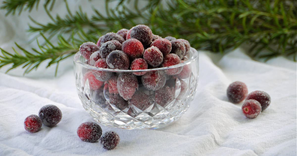 Small crystal bowl of sugared cranberries, with an evergreen branch in the background. 