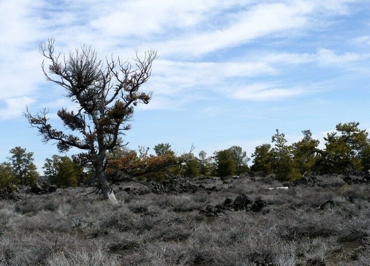 Landscape at Craters of the Moon National Monument