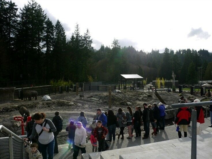 Elephant Lands at the Portland Zoo | The Good Hearted Woman